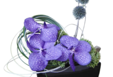 prietenie_buchete_de_flori_Tribuna_Consumatorilor