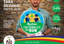Filiera-Auchan-Vita-Bio